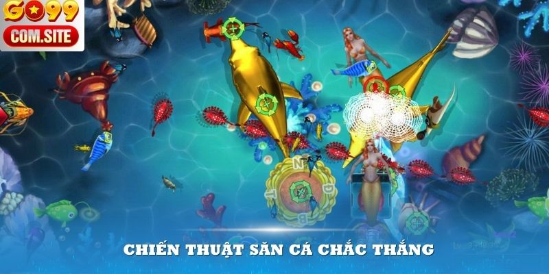 Những chiến thuật săn cá giúp bạn trở thành tay chơi chuyên nghiệp