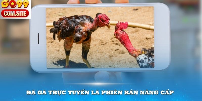 Đá gà trực tuyến là phiên bản nâng cấp tiện lợi