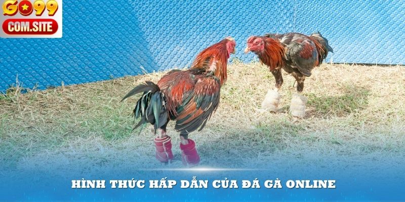 Những hình thức hấp dẫn của đá gà online